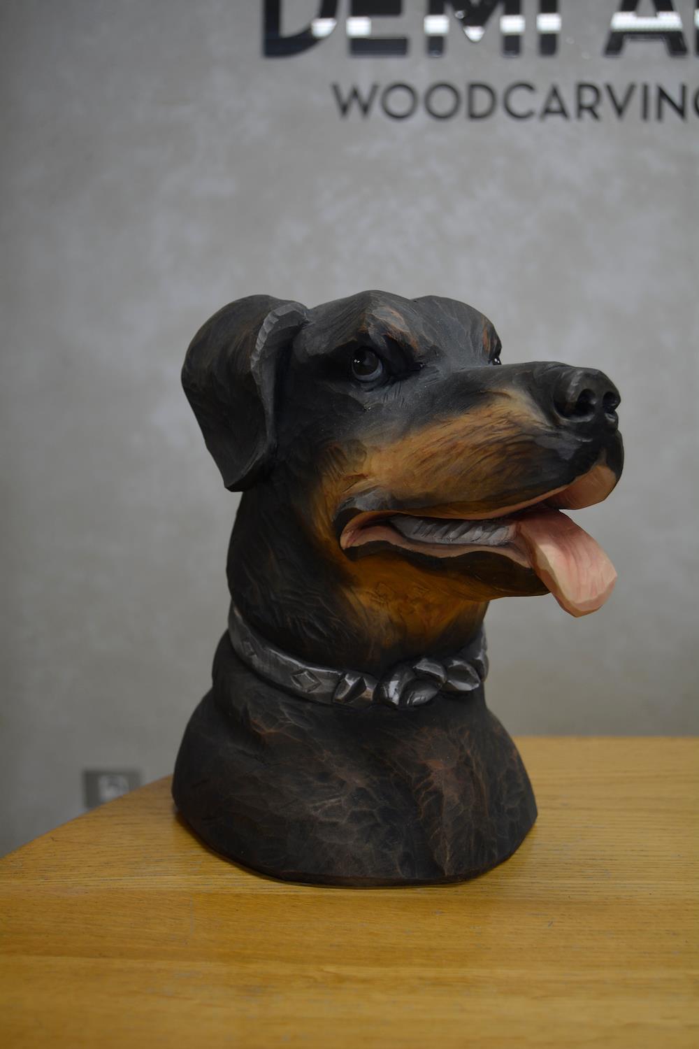 Testa di cane