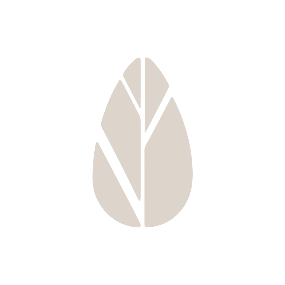 Gesù benedicente 